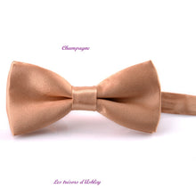Charger l'image dans la galerie, Noeud Papillon Réglable - Tissu Satiné - 12 Nuances au choix !