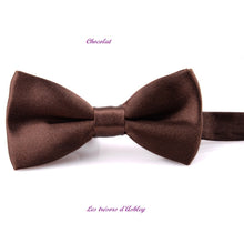 Charger l'image dans la galerie, Noeud Papillon Réglable - Tissu Satiné - 12 Nuances au choix !
