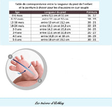 Charger l'image dans la galerie, La petite chaussure Brillante - 6 nuances au choix