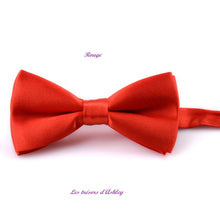 Charger l'image dans la galerie, Noeud Papillon Réglable - Tissu Satiné - 12 Nuances au choix !