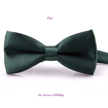 Charger l'image dans la galerie, Noeud Papillon Réglable - Tissu Satiné - 12 Nuances au choix !