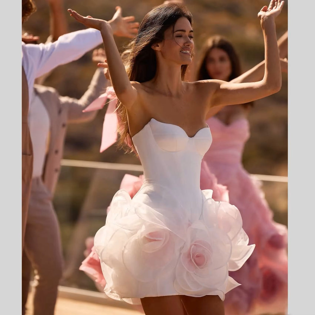 CALVI - Collection 2026